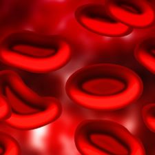 red blood cells